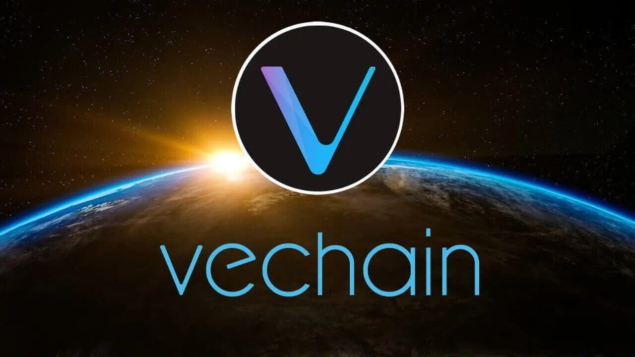 تاریخچه پیدایش و بنیان‌گذاران VeChain
