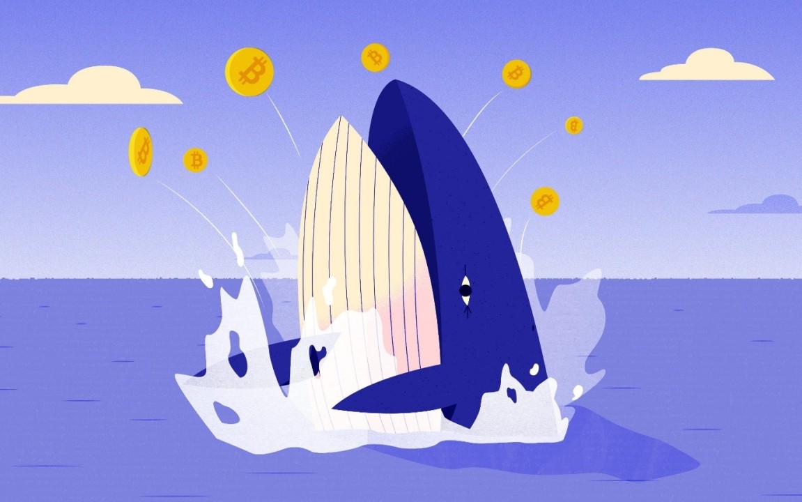نهنگ یا Whale